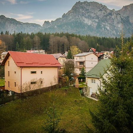 Отель Casa Maia Буштени Экстерьер фото
