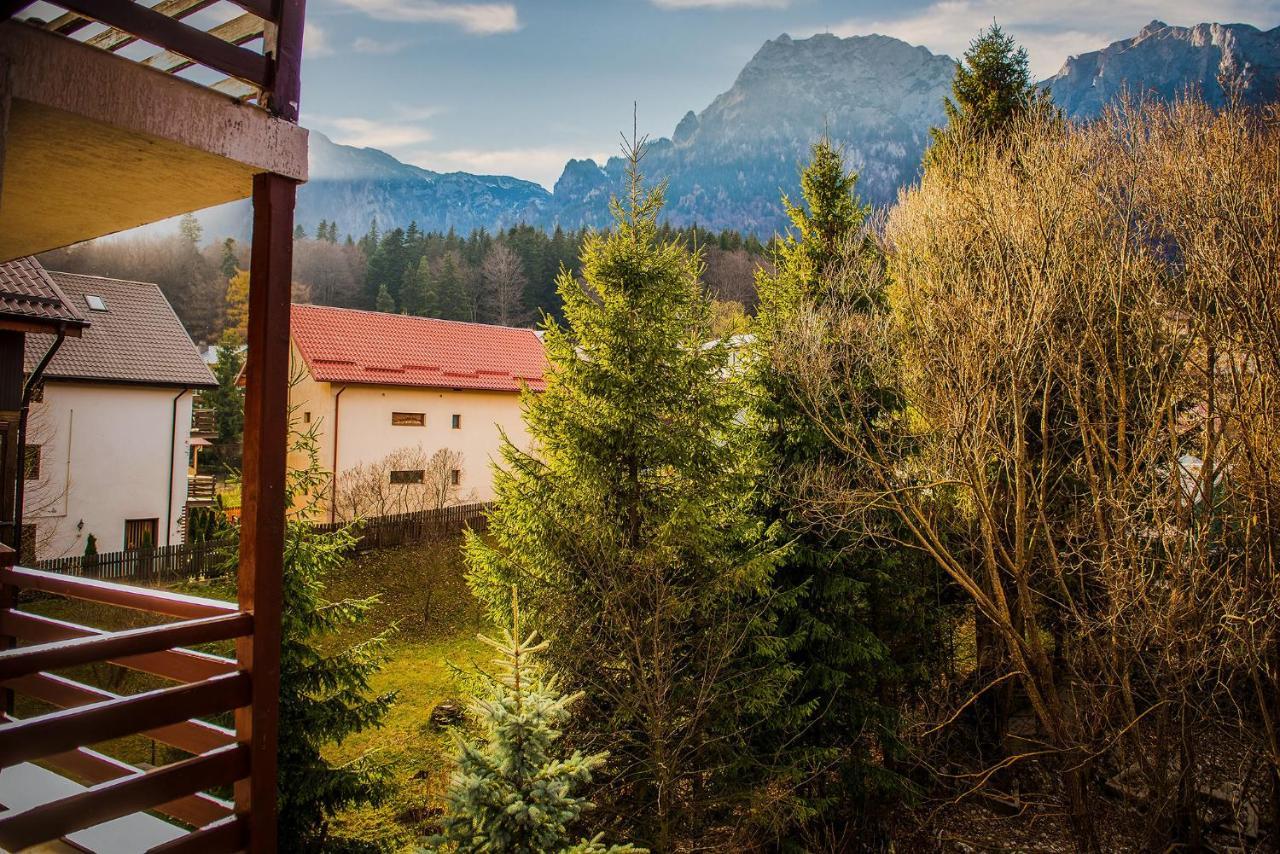 Отель Casa Maia Буштени Экстерьер фото
