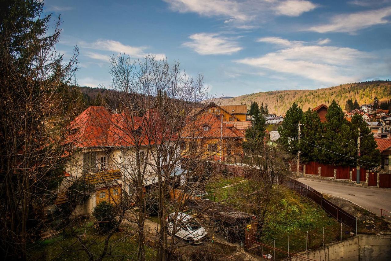 Отель Casa Maia Буштени Экстерьер фото