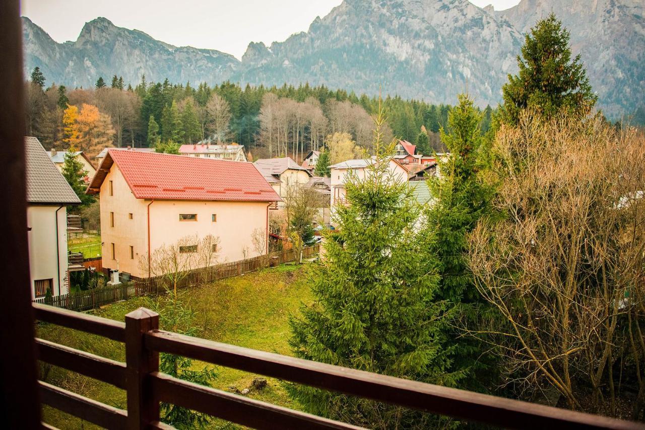 Отель Casa Maia Буштени Экстерьер фото