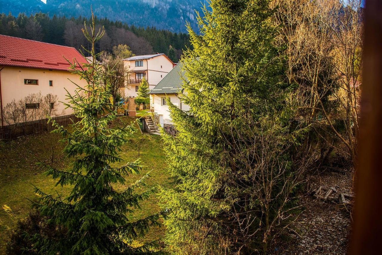 Отель Casa Maia Буштени Экстерьер фото